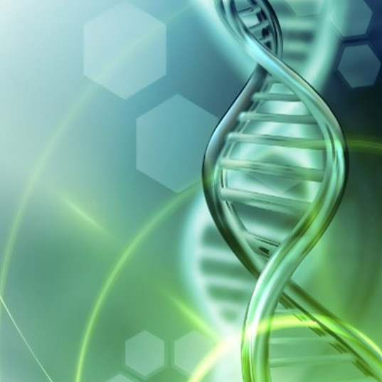 Researcher Image